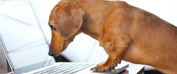 order meds online