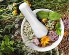 herbal remedies to help erectile dysfunction