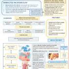 options for erectile dysfunction